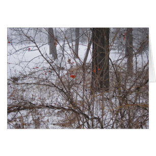 Berries im Schnee