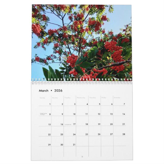Berries Kalender (Mär 2026)