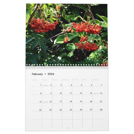 Berries Kalender (Feb 2026)