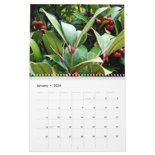 Berries Kalender (Jan 2026)