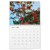Berries Kalender (Mär 2027)
