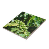 Berries Keramik Tile Fliese (Seite)