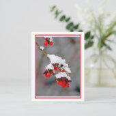 Berries mit Schnee Postkarte (Stehend Vorderseite)