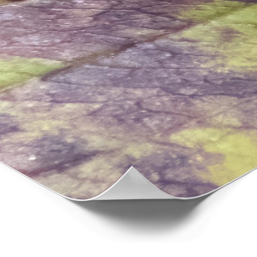 Berries on a Branch Poster (Ecke)