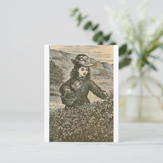 Berries picken postkarte (Stehend Vorderseite)