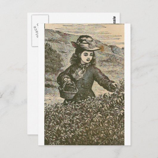 Berries picken postkarte (Vorne/Hinten)