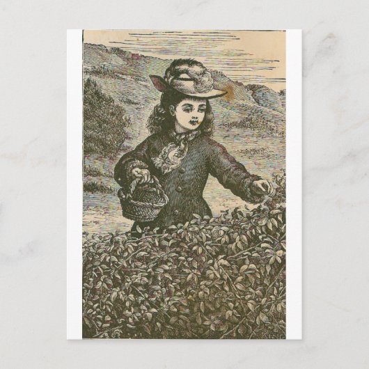 Berries picken postkarte (Vorderseite)