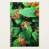 Berries Planer (Vorderseite)