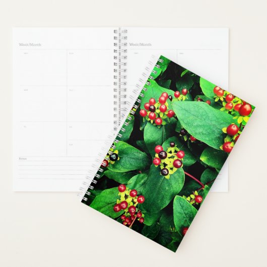 Berries Planer (Anzeige)