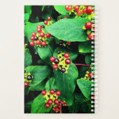 Berries Planer (Rückseite)