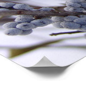 Berries Poster (Ecke)