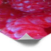 Berries Poster (Ecke)