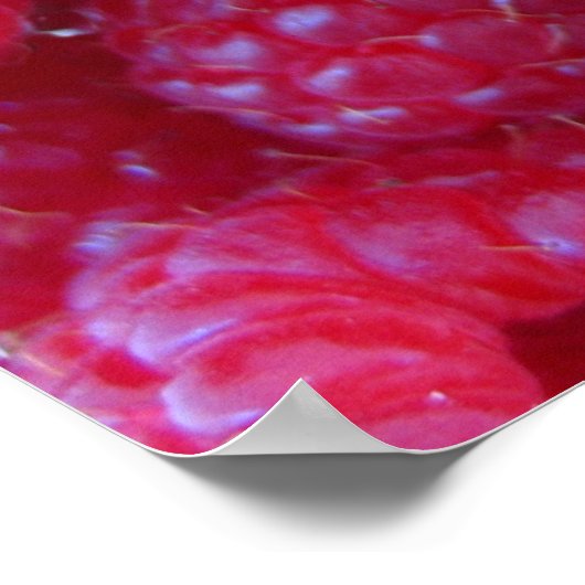 Berries Poster (Ecke)