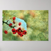 Berries Poster (Vorne)