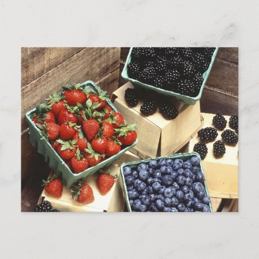 Berries Postkarte (Vorderseite)
