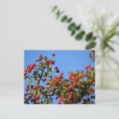 Berries Postkarte (Stehend Vorderseite)