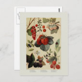 Berries Postkarte (Vorne/Hinten)