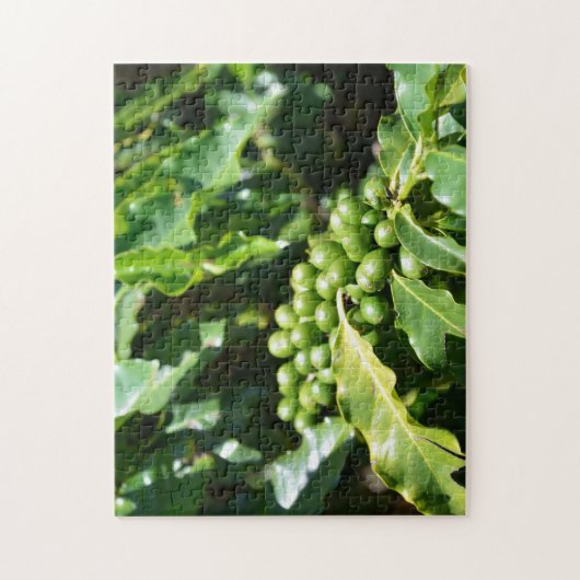 Berries Puzzle (Vertikal)