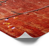 Berries und Barn Poster (Ecke)