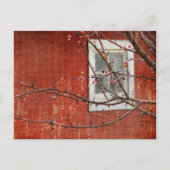 Berries und Barn Postkarte (Vorderseite)