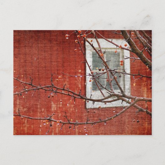 Berries und Barn Postkarte (Vorderseite)