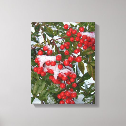 Berries und Schnee! Leinwanddruck (Vorderseite)