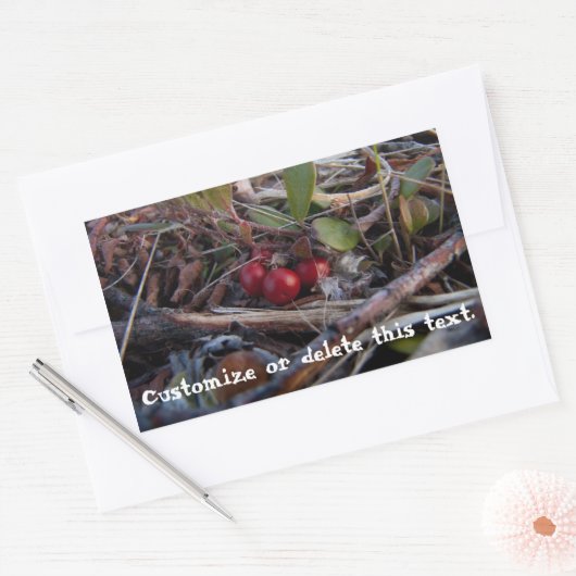 Berries und Twigs; benutzerdefinierbar Rechteckiger Aufkleber (Umschlag)