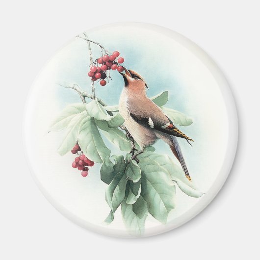 Berries zum Essen Magnet (Vorne)