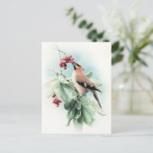 Berries zum Essen Postkarte (Stehend Vorderseite)