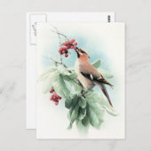 Berries zum Essen Postkarte (Vorne/Hinten)