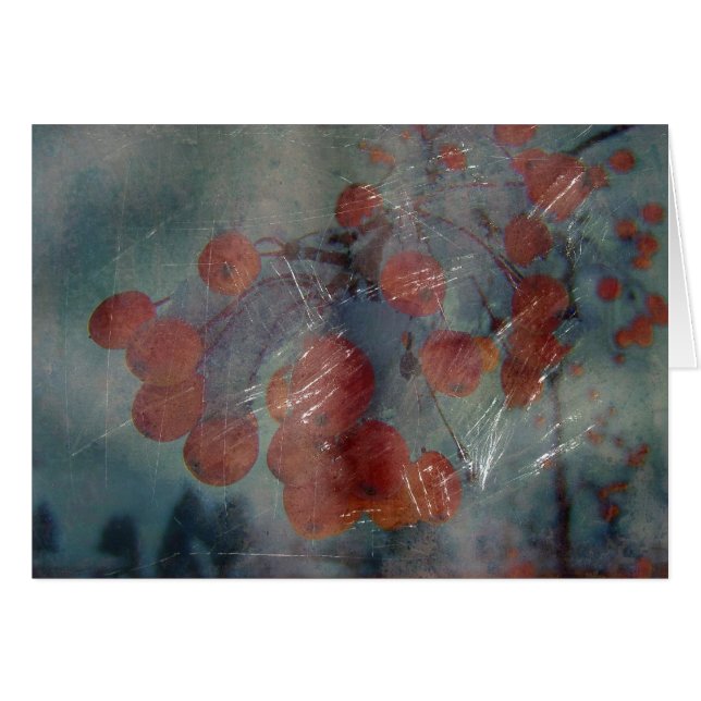 Berrries Grunge (Vorderseite (Horizontal))