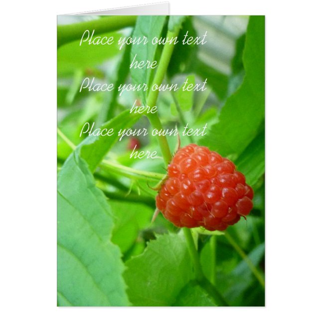 Berry Berry Raspberry Card (Vorne)
