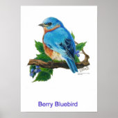 Berry Bluebird Poster (Vorne)