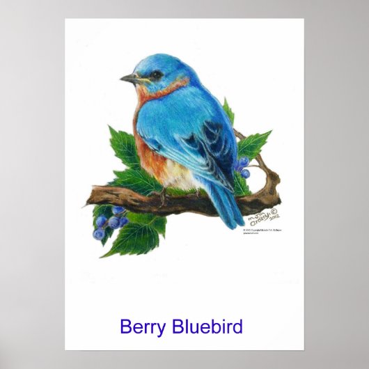 Berry Bluebird Poster (Vorne)