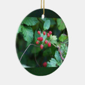Berry Branches Ornament (Rechts)