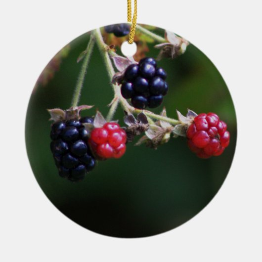 Berry Branches Ornament (Vorne)