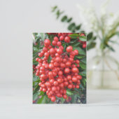 Berry Bundle Postkarte (Stehend Vorderseite)
