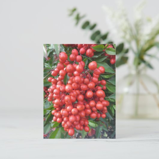 Berry Bundle Postkarte (Stehend Vorderseite)