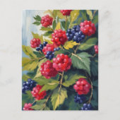 Berry Bush Raspberry BlackBerry Watercolor Frucht Postkarte (Vorderseite)