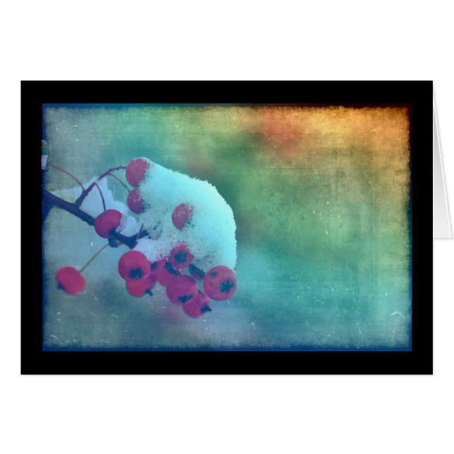 Berry Cold (Vorderseite (Horizontal))