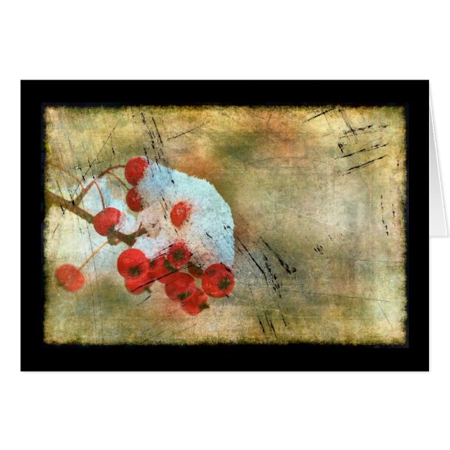 Berry Cold Grunge (Vorderseite (Horizontal))