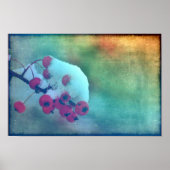 Berry Cold Poster (Vorne)