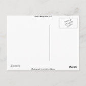 Berry Farm von Knott, Kalifornien Postkarte (Rückseite)