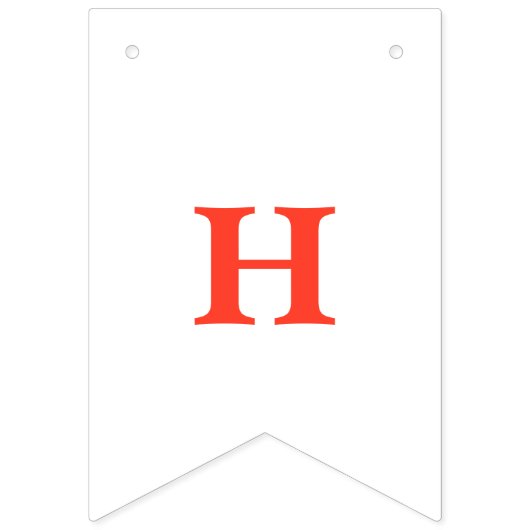 Berry First Strawberry Birthday Wimpelkette (Zweite Fahne)