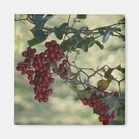 Berry Magnet (Vorne)