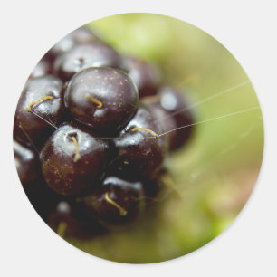 Berry Nice Runder Aufkleber