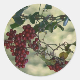 Berry Stickers