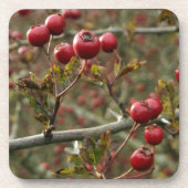 Berry Untersetzer (Vorderseite)