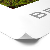 BerryCreek BeautiFall Poster (Ecke)