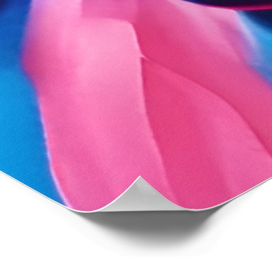 Berrylicious Burst Poster (Ecke)